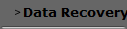 Data Recovery